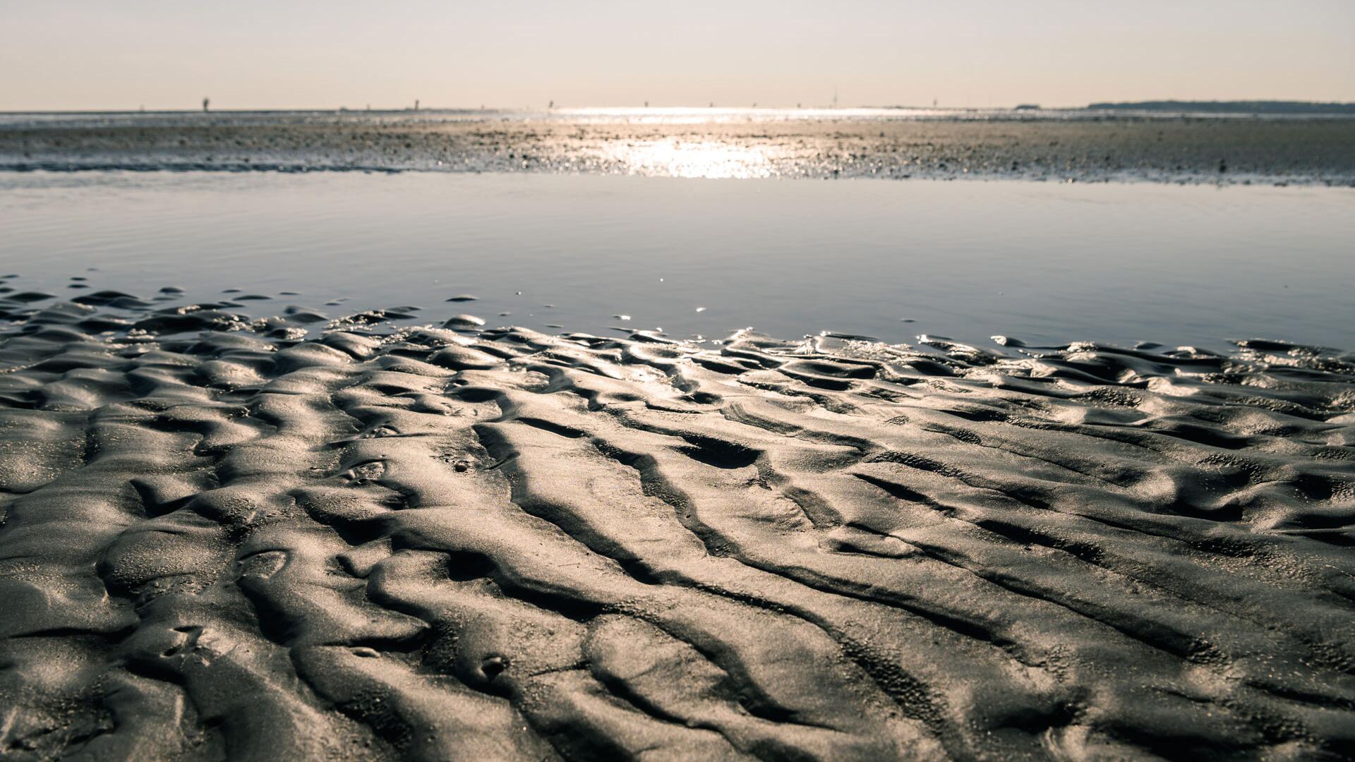 Schrumpfendes Wattenmeer? Welche Folgen der Klimawandel hat