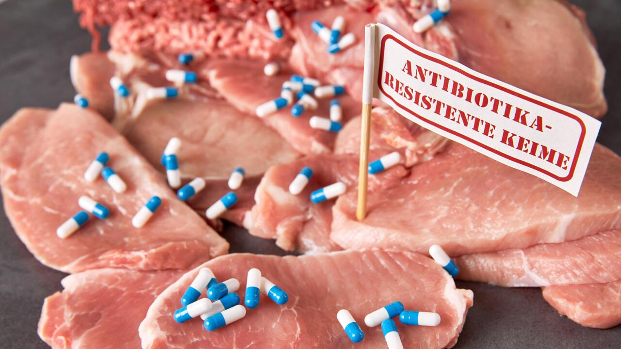 Schweinefleisch mit gefährlichen Keimen belastet: So schützen Sie sich