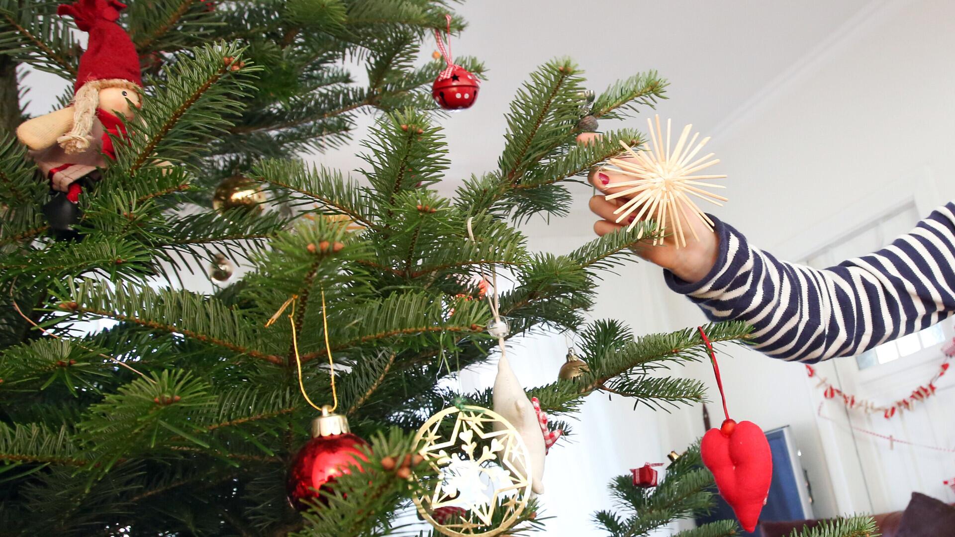 Selbst gebastelter Schmuck am Weihnachtsbaum Selbst gebastelter Schmuck am Weihnachtsbaum