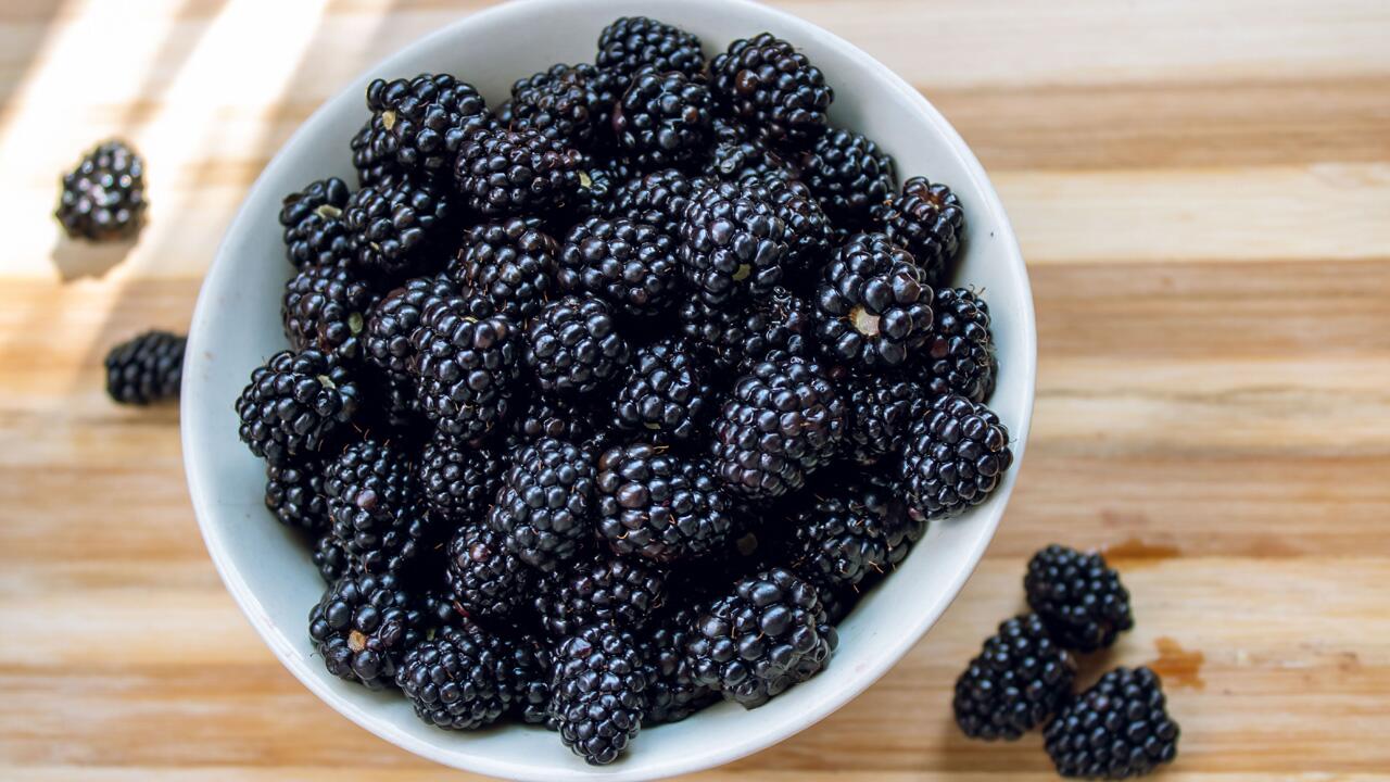 Sie haben mehr Brombeeren, als Sie auf einmal aufessen können?