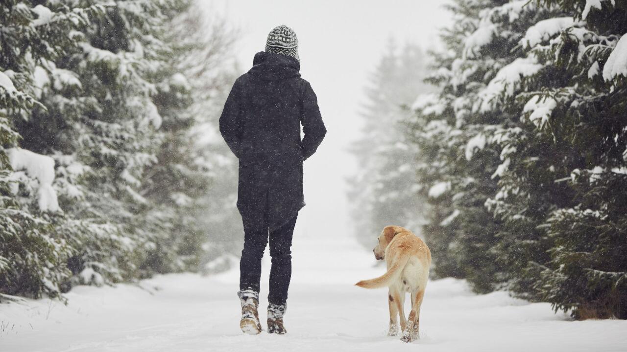 Spaziergang gegen Winter-Blues: Experte rät zum Gang nach draußen 