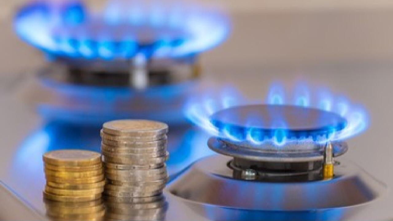 Studie: Deutschland muss 30 Prozent weniger Gas verbrauchen Studie: Deutschland muss 30 Prozent weniger Gas verbrauchen