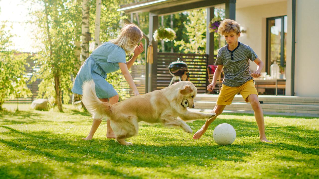 Studie: Hunde machen Kinder fitter 