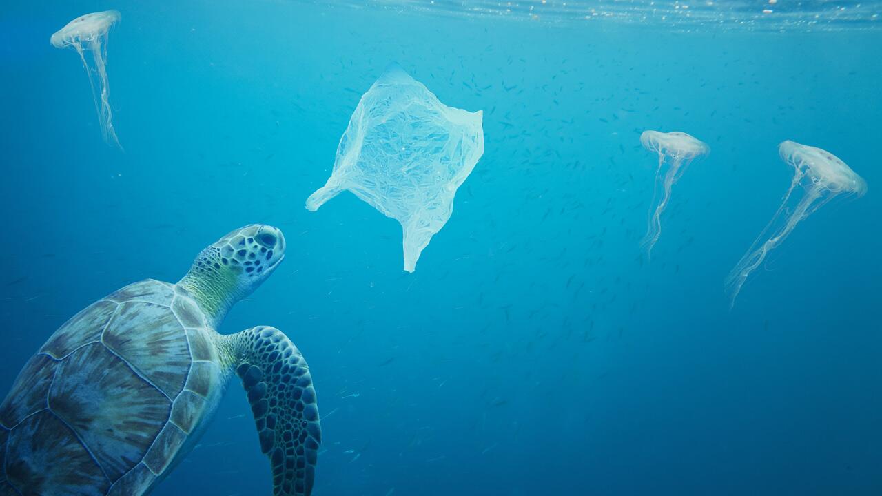 Studie warnt vor Plastikflut im Meer – WWF fordert globales Abkommen
