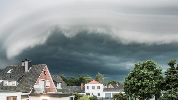 Sturmschäden Sturmschäden
