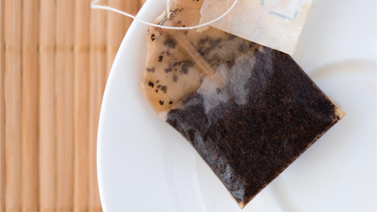 Suche nach Erbgut-Spuren: 400 Insektenarten in einem Teebeutel
