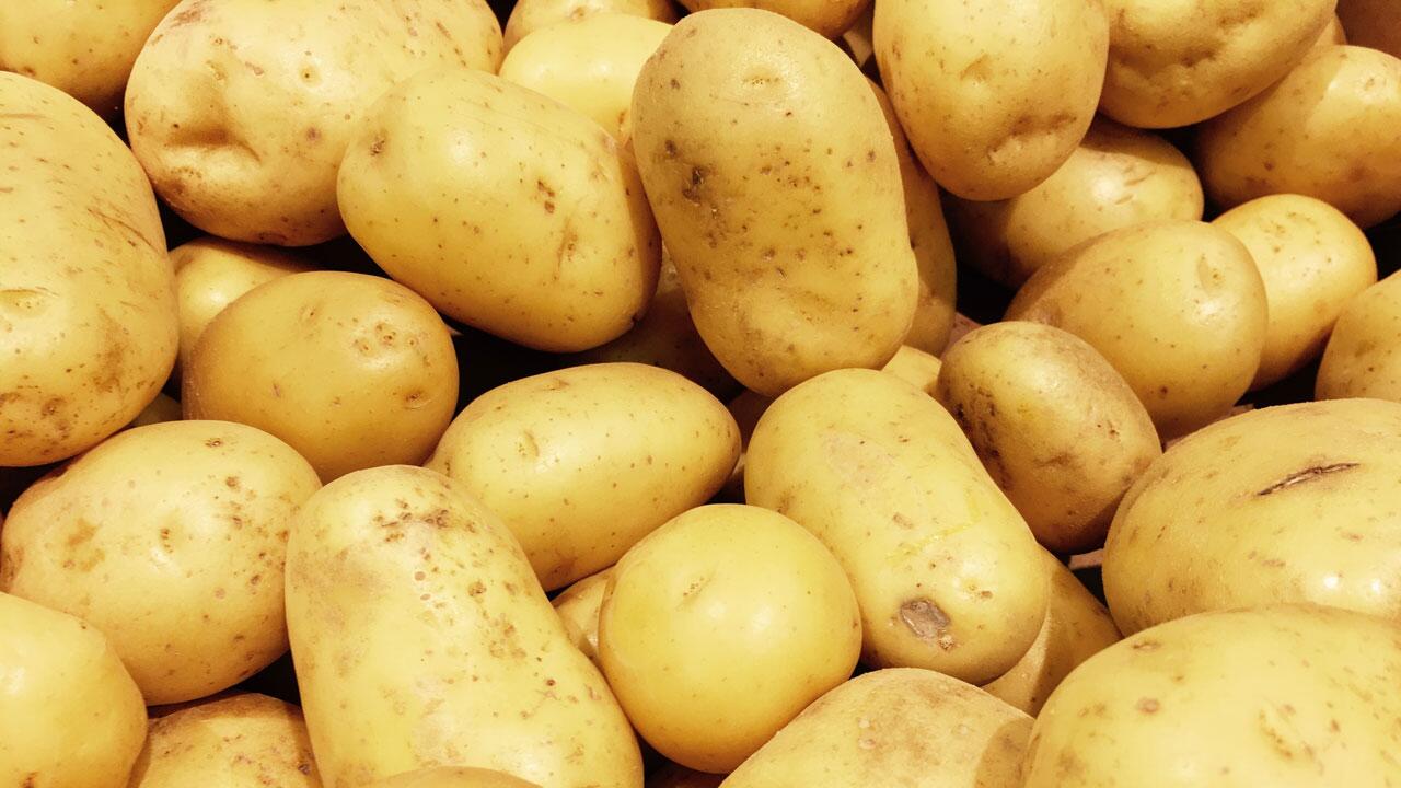 Edeka, Rewe, Penny & Co.: Supermärkte rufen Speisefrühkartoffeln zurück
