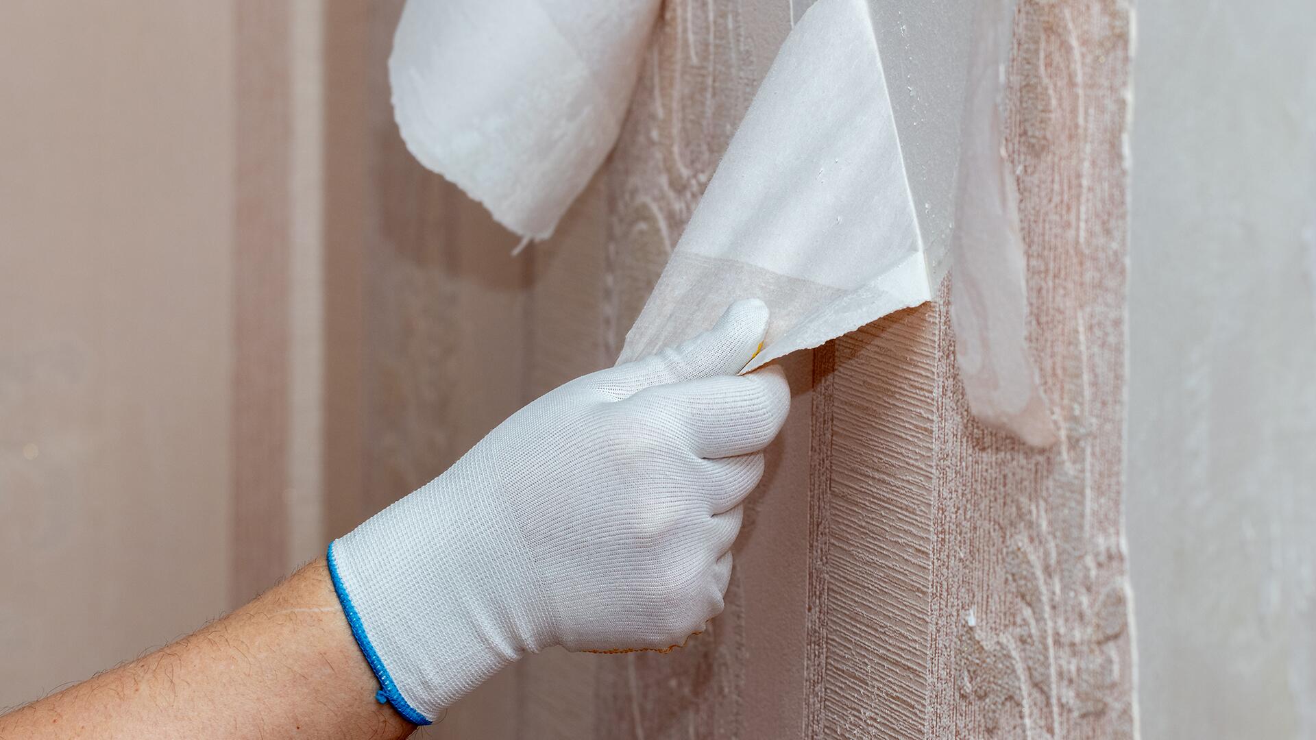 Tapetenablöser im Test: Wir haben zehn Produkte getestet.