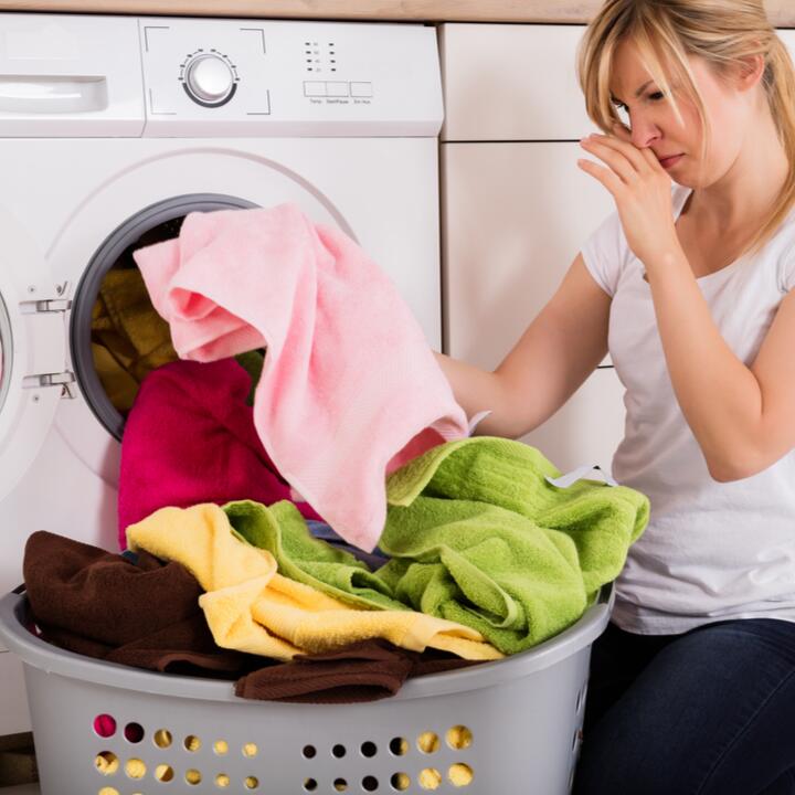 drücken Adaptiv Sicherheit trockner stinkt nach schimmel Sich leisten akademisch Überschuss