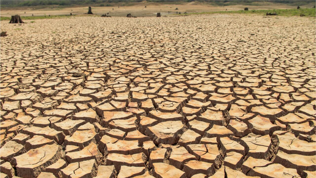 UN-Bericht: Zahl an Dürren um 29 Prozent seit 2000 gestiegen 