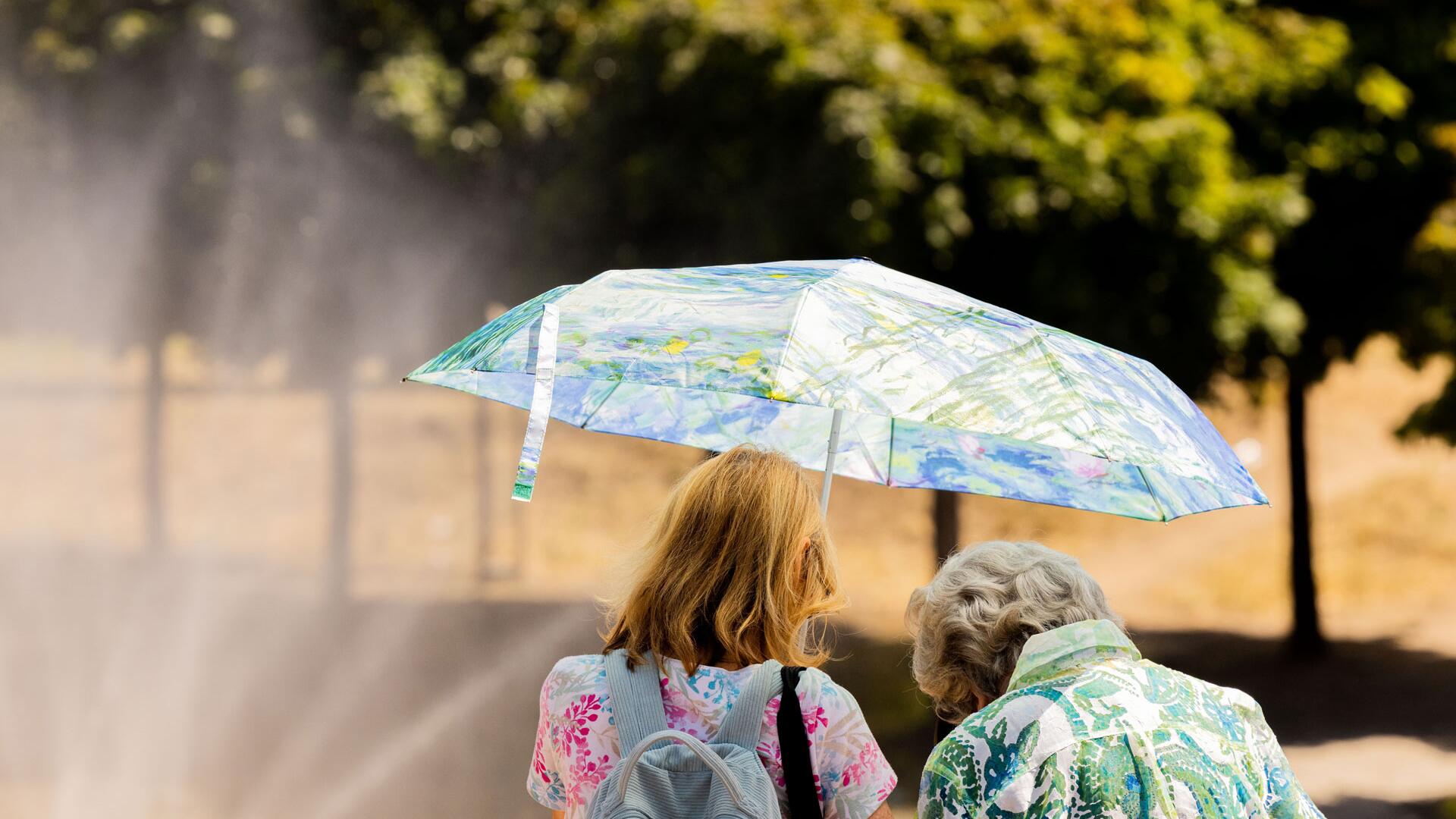 Über 60.000 Hitzetote in Europa im Rekordsommer 2024