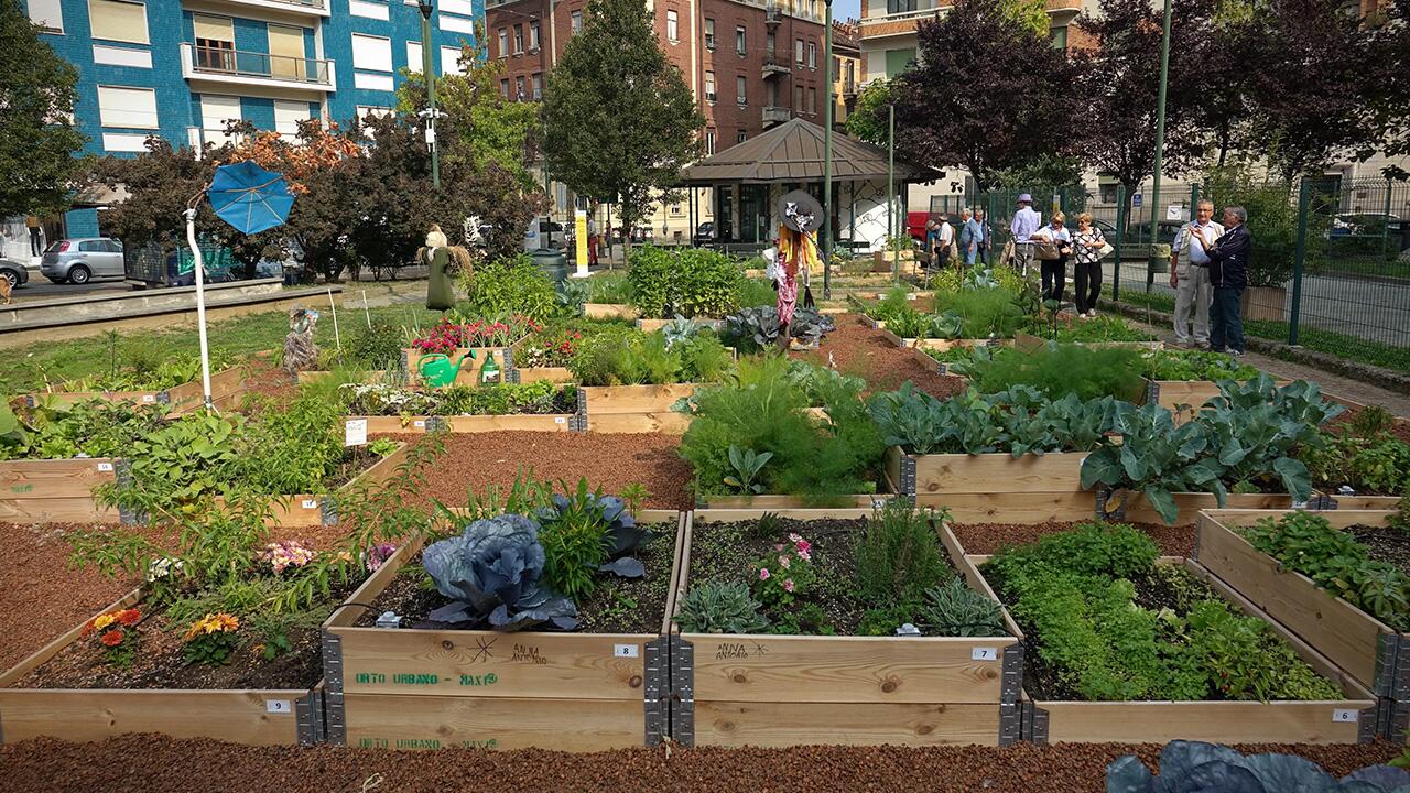 Urban Gardening bringt Menschen unterschiedlicher Herkunft zusammen.