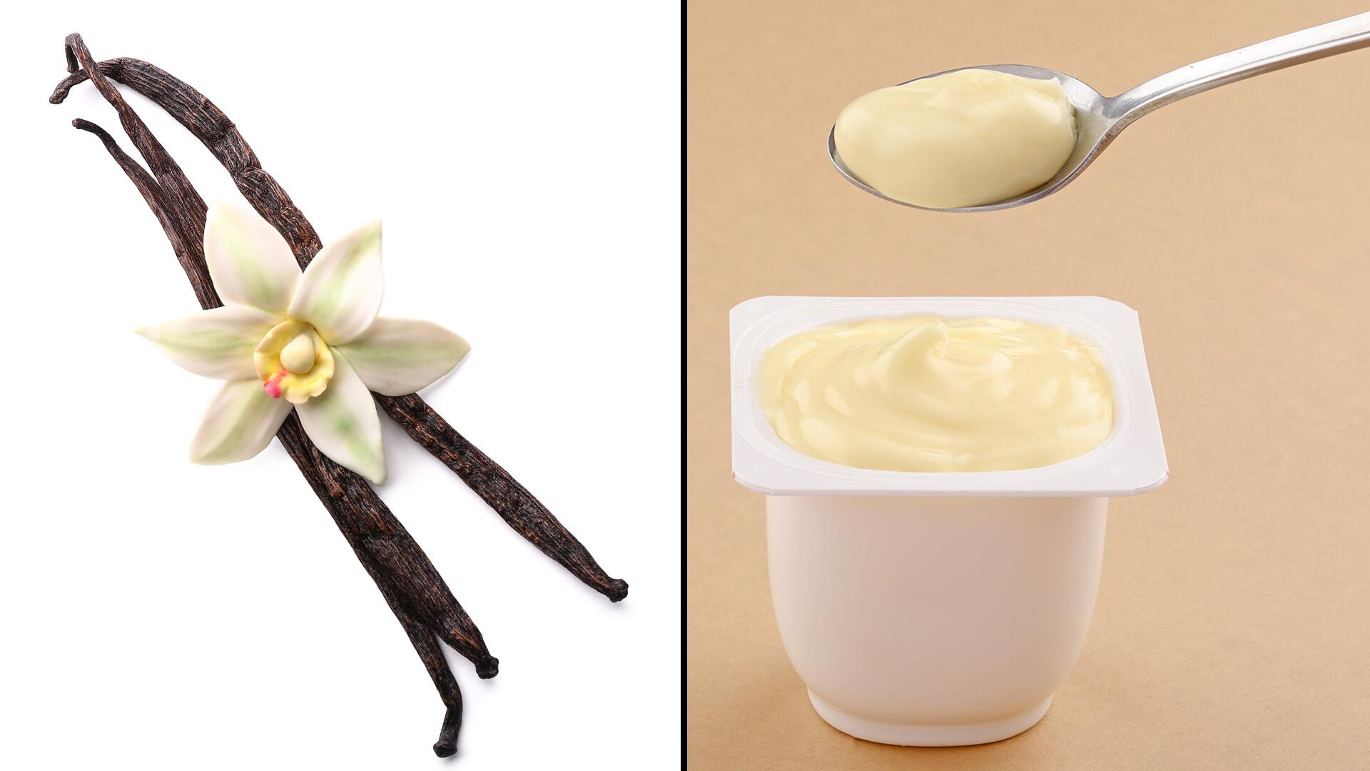 Vanille in Vanillepudding: Wie kommt denn der Geschmack zustande?