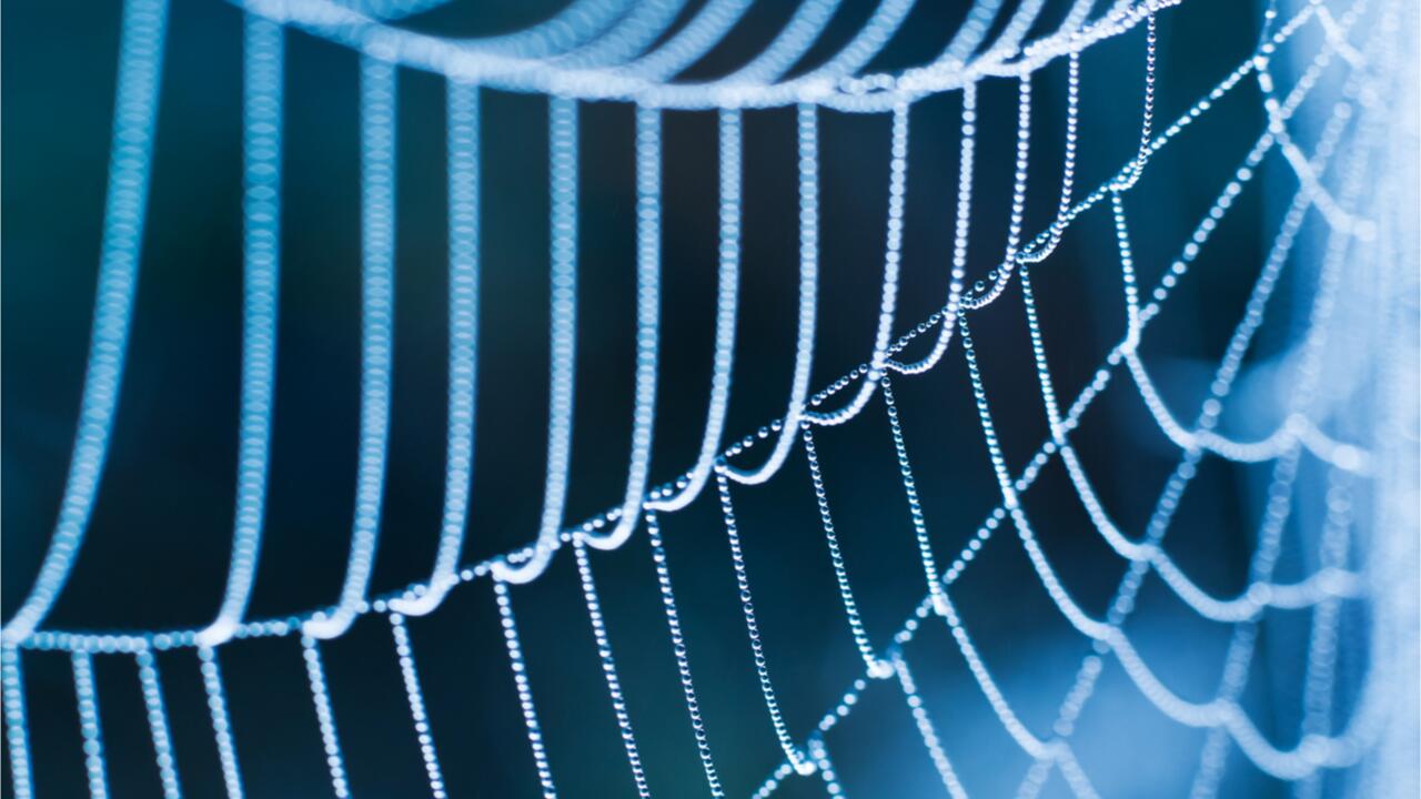 Viele Spinnennetze sind voller Mikroplastik 