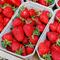 Warum sind Erdbeeren dieses Jahr so teuer?