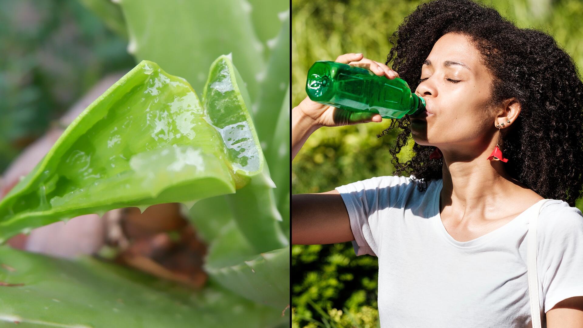 Was bringt es, Aloe-vera-Saft zu trinken? 