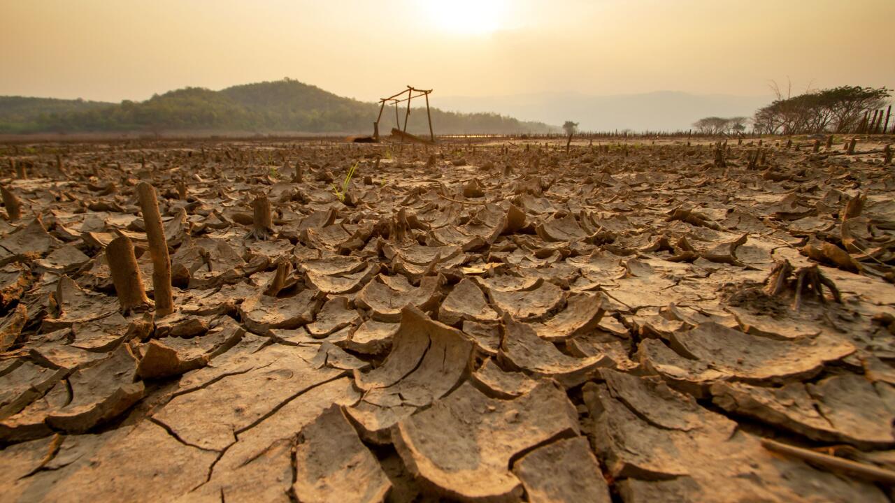 Weltwetterorganisation: Welt jetzt unter El-Niño-Einfluss 