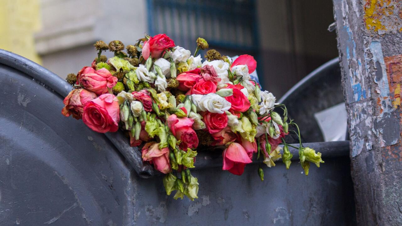 Wenn Sie verwelkte Blumen wegwerfen, sollten Sie folgende Punkte beachten