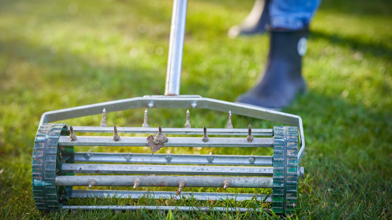 Wie Sie den Rasen im Frühjahr richtig vertikutieren