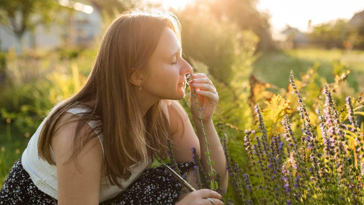 Wie dufte! Ein Garten für die Nase 