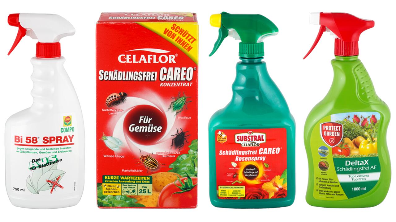 Unglücklicherweise Malawi Präsentation läuse tomaten spülmittel links ...