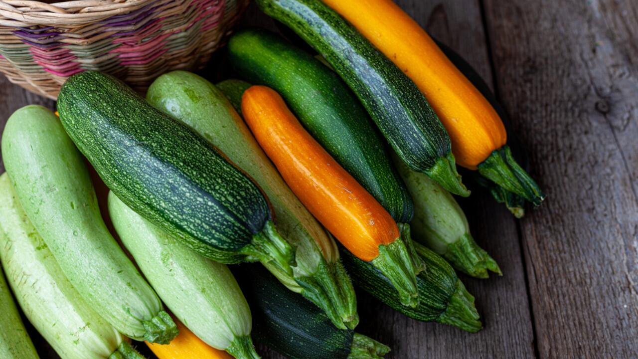 Zucchini können gut selber angebaut werden, doch beim Nachziehen sollten Sie aufpassen.
