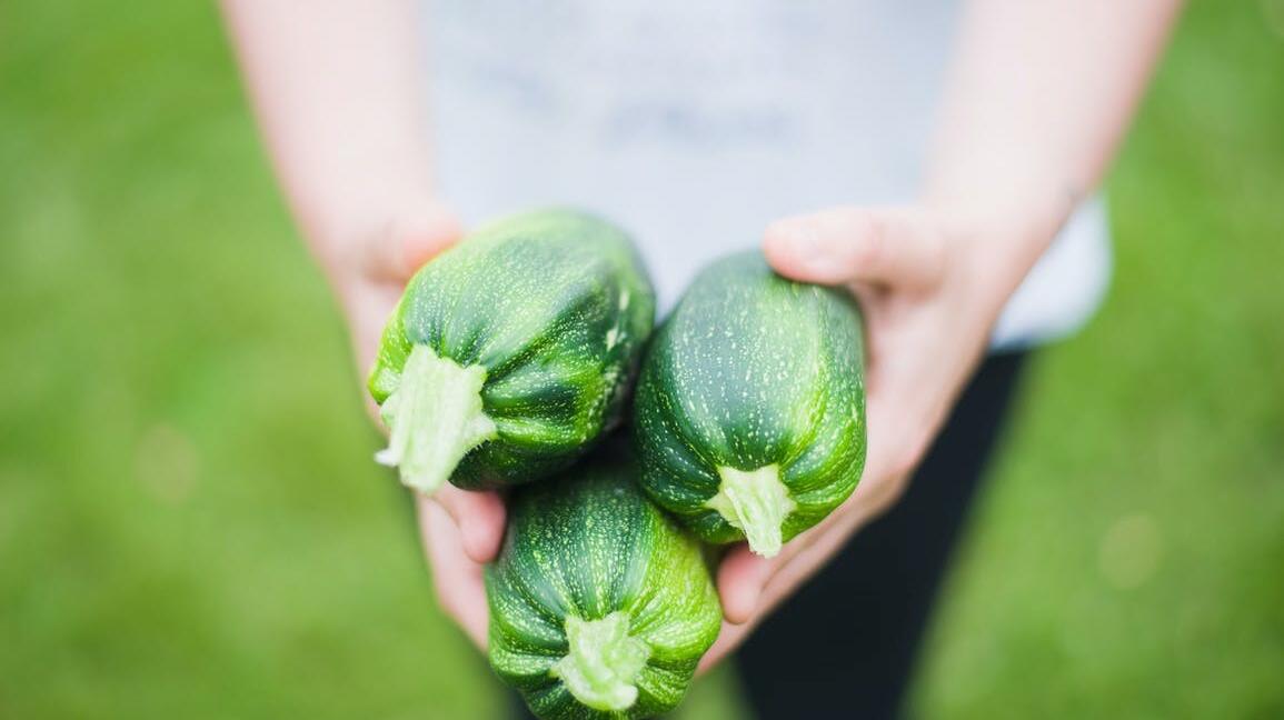 Zucchini schmecken roh und gekocht – aber ist beides gesund?