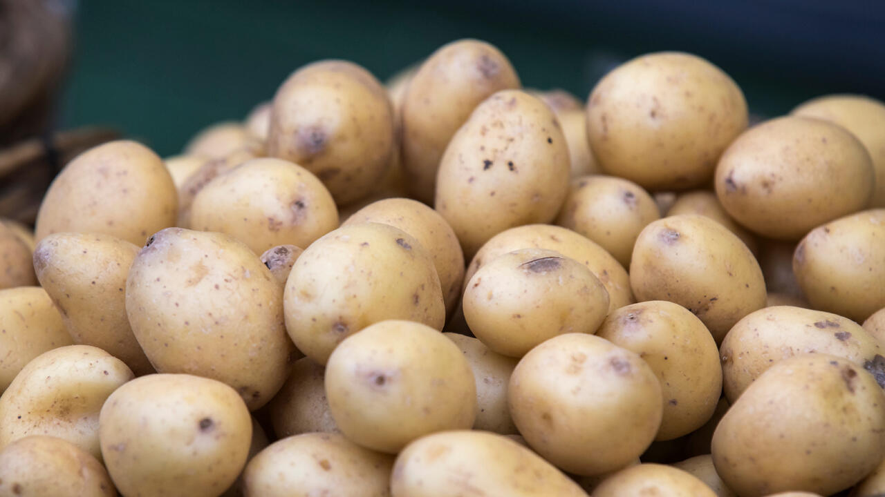 Kartoffeln haben verschiedene Kocheigenschaften und sind deshalb für zahlreiche Gerichte geeignet. Kartoffeln haben verschiedene Kocheigenschaften und sind deshalb für zahlreiche Gerichte geeignet.