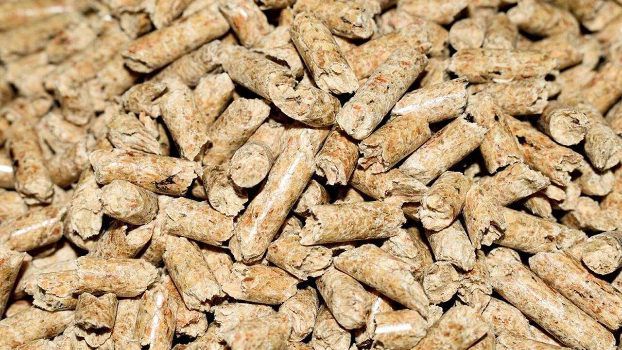 Holzpellets im Test: Heizwerte sind häufig übertrieben Holzpellets im Test: Heizwerte sind häufig übertrieben