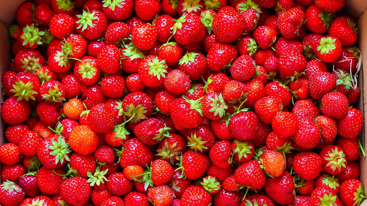 Eigentlich dürfen nur Zubereitungen aus Zitrusfrüchten als Marmelade bezeichnet werden. Der allgemeine Sprachgebrauch ist ein anderer: So gut wie jeder spricht von Erdbeermarmelade.