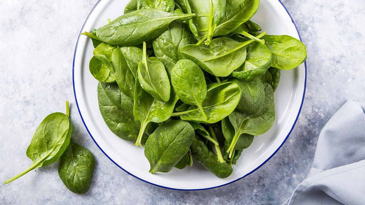 Frischer Spinat wird in Deutschland bis November geerntet. Für Salat eignet sich allerdings nur der zarte Frühlings- und Sommerspinat.