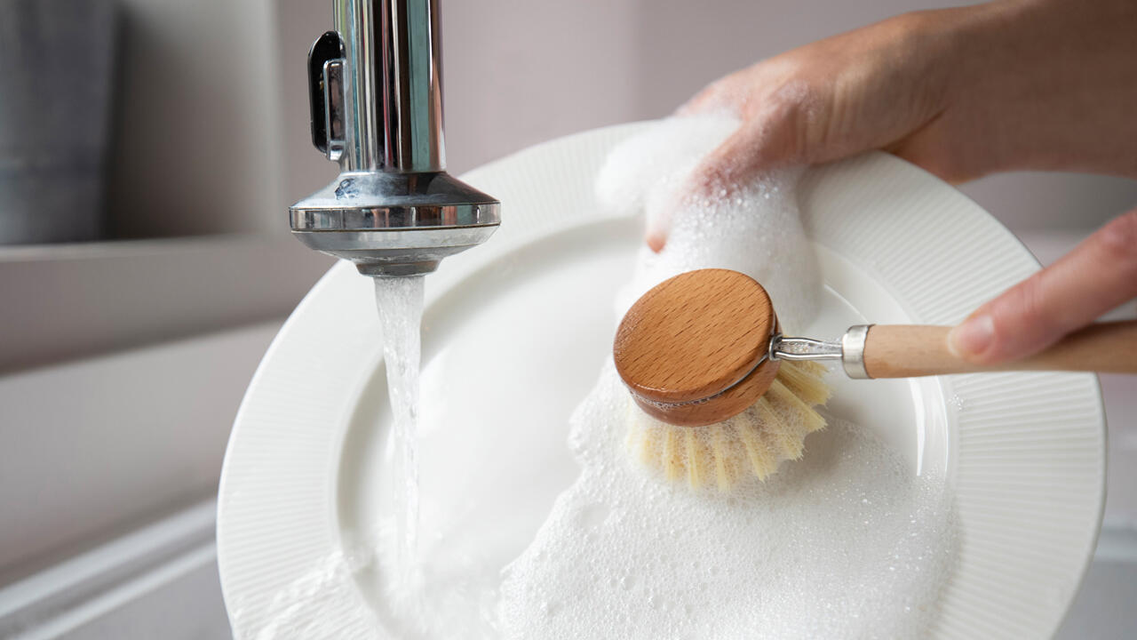 Eine gute Alternative zum Schwamm: die Spülbürste. Sie ist nachhaltiger und weniger mit Keimen belastet.