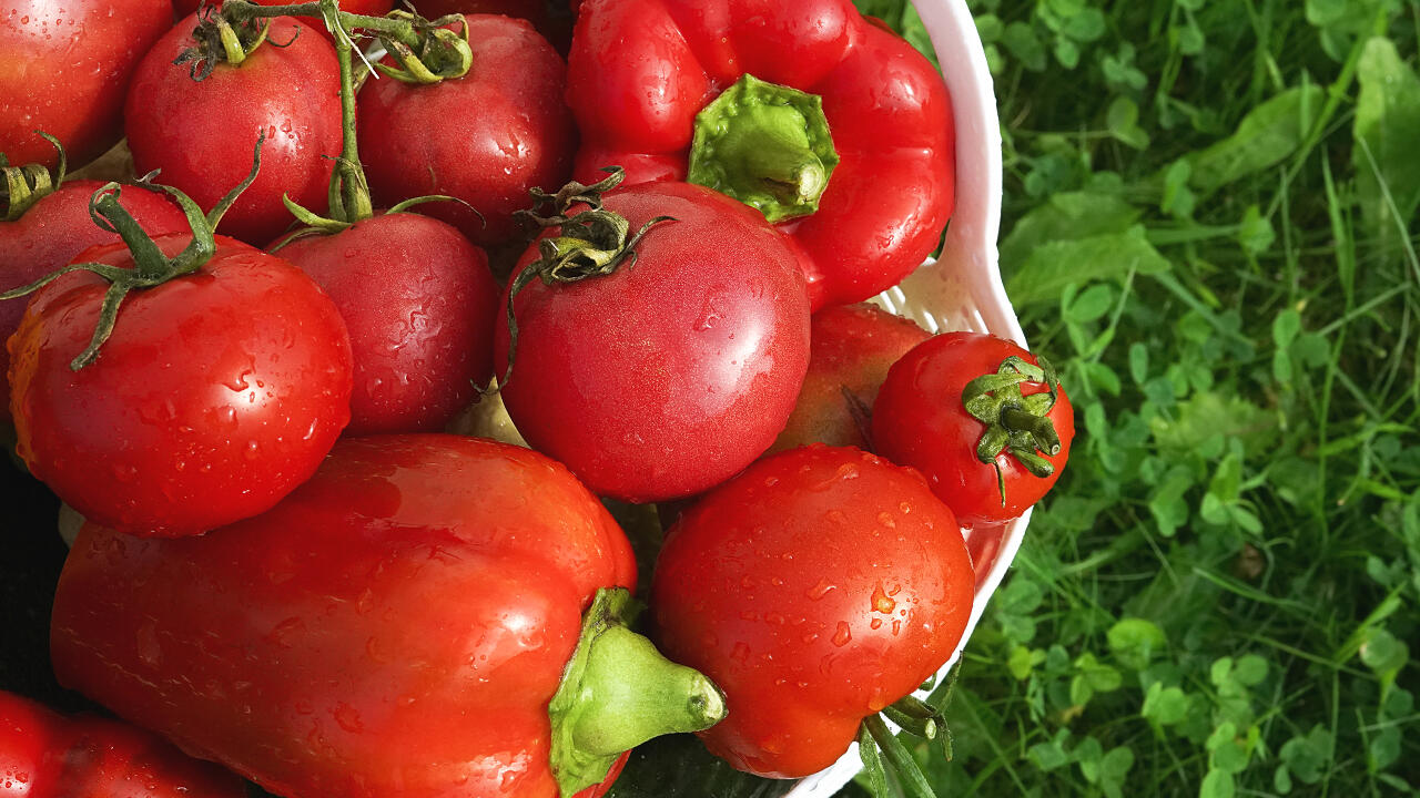 Einmal geöffnet halten sich die Aufstriche aus Tomate und Paprika im Kühlschrank nur wenige Tage. Tipp: Wennʼs knapp wird, den Aufstrich als Dipp, Pesto oder zum Kochen zweckentfremden.