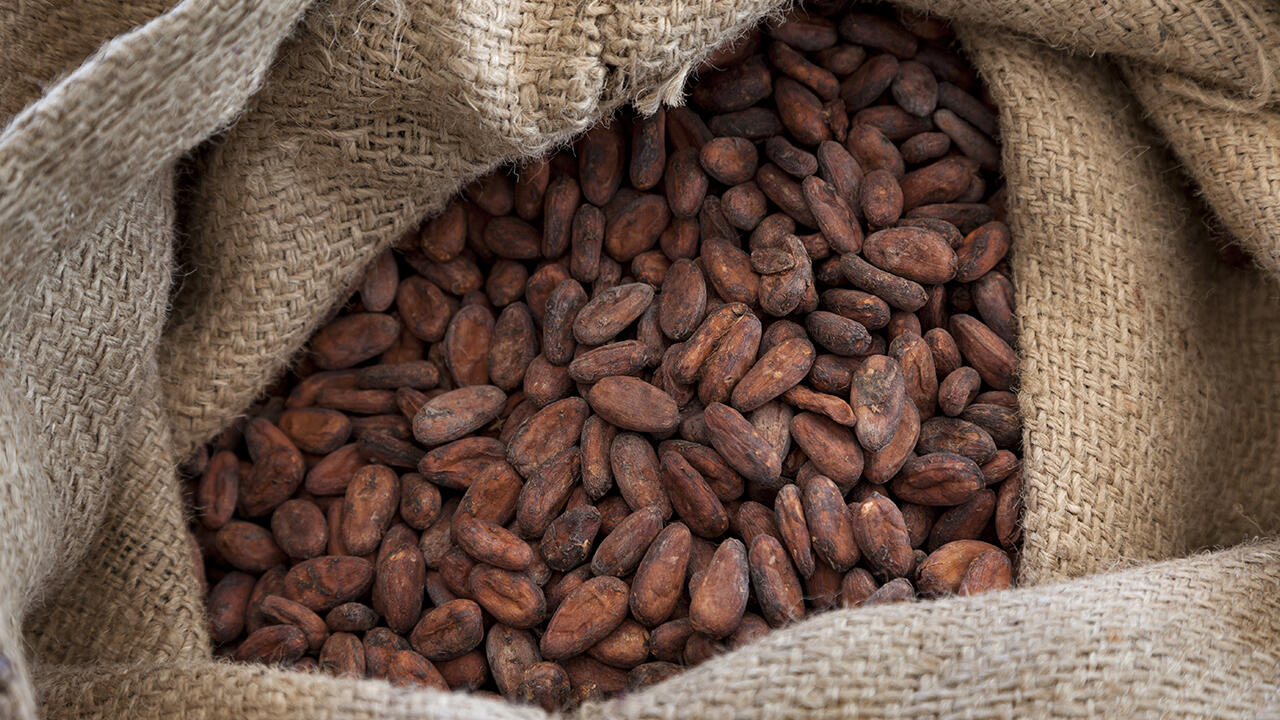 Säcke aus Jute oder Sisal, in denen Kakaobohnen transportiert werden, sind häufig mit Mineralöl behandelt. Sie sind eine mögliche Quelle für die analysierten Mineralölrückstände in den Schoko-Weihnachtsmännern. 