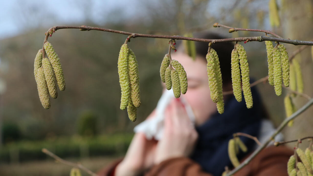 Die Pollen im März bedeuten für Allergiker oft tränende Augen, eine laufende Nase und Halskratzen.