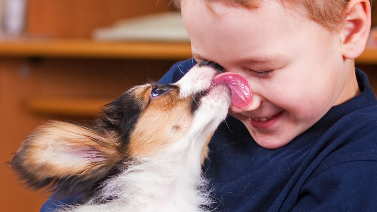 Vor allem Kinder, ältere Menschen und Schwangere sollten bei Hundeküssen vorsichtig sein.