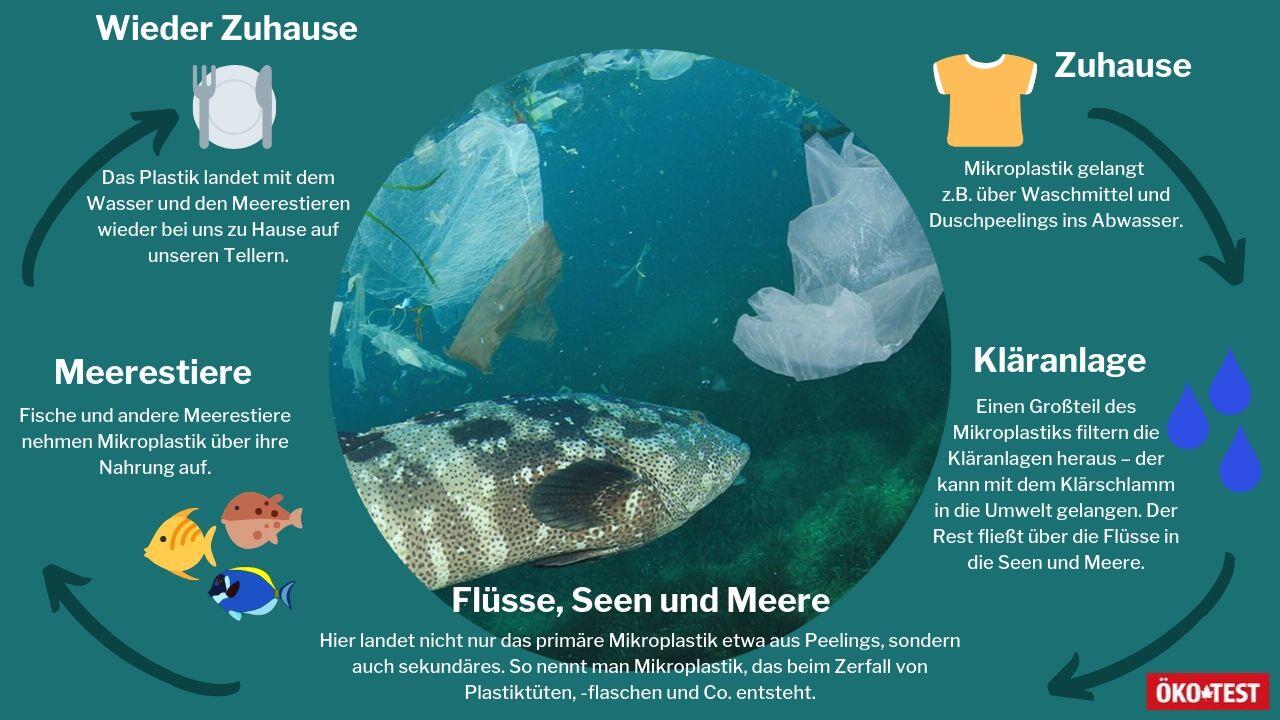 Wir werfen Plastik weg und spülen es herunter. Mit unserer Nahrung kommt es zurück. Pro Woche essen Menschen bis zu fünf Gramm Mikroplastik. Wir werfen Plastik weg und spülen es herunter. Mit unserer Nahrung kommt es zurück. Pro Woche essen Menschen bis zu fünf Gramm Mikroplastik.