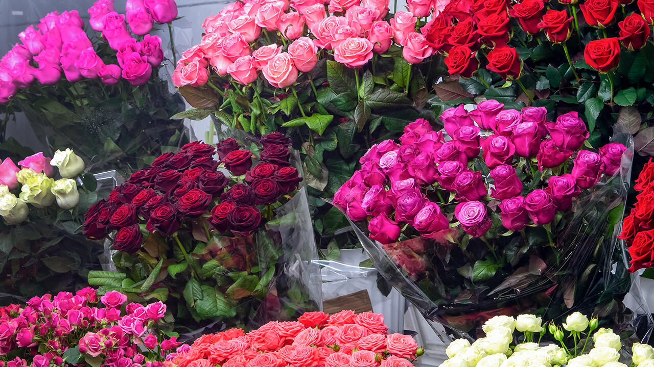 Rosen sind zwar ein Blickfang. Doch selbst auf Fairtrade-Sträußen kleben noch aus unserer Sicht zu viele Spritzgifte. Rosen sind zwar ein Blickfang. Doch selbst auf Fairtrade-Sträußen kleben noch aus unserer Sicht zu viele Spritzgifte.