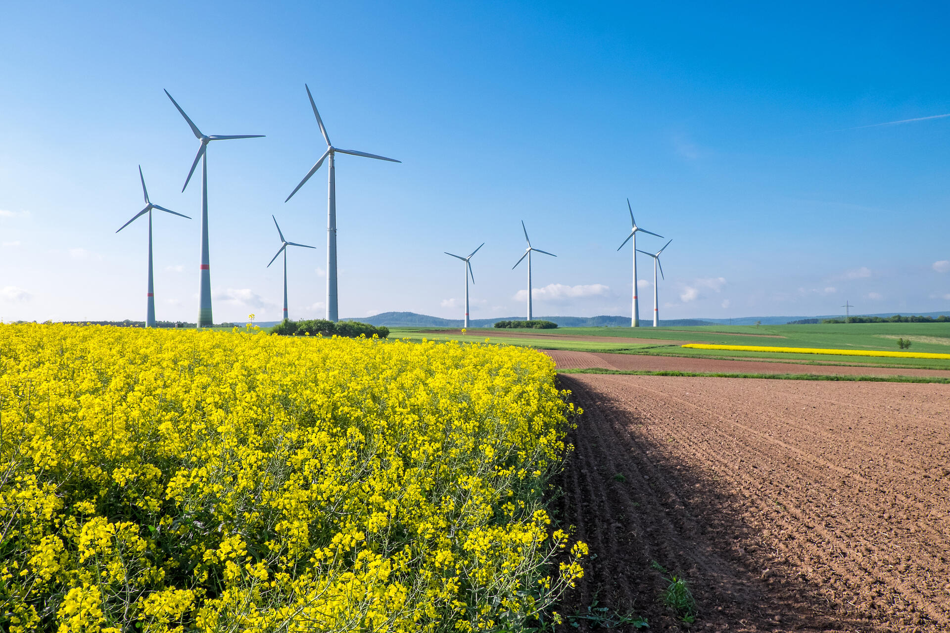 Die umweltfreundlichste Energie ist die, die erst gar nicht produziert werden muss. 