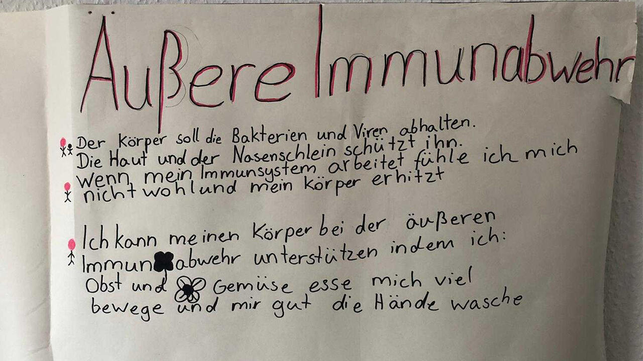 Äußere Immunabwehr: So sah das Plakat am Ende des Homeschooling-Tags aus.