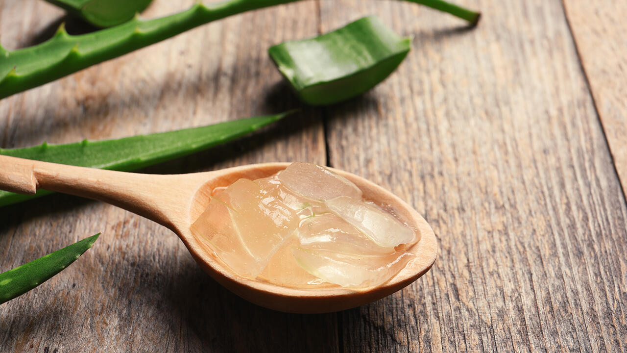 Besitzen Sie eine Aloe-vera-Pflanze im Haus, können Sie etwas Gel aus ihr herausdrücken oder -kratzen und auf einzelne Hautstellen geben. Besitzen Sie eine Aloe-vera-Pflanze im Haus, können Sie etwas Gel aus ihr herausdrücken oder -kratzen und auf einzelne Hautstellen geben.