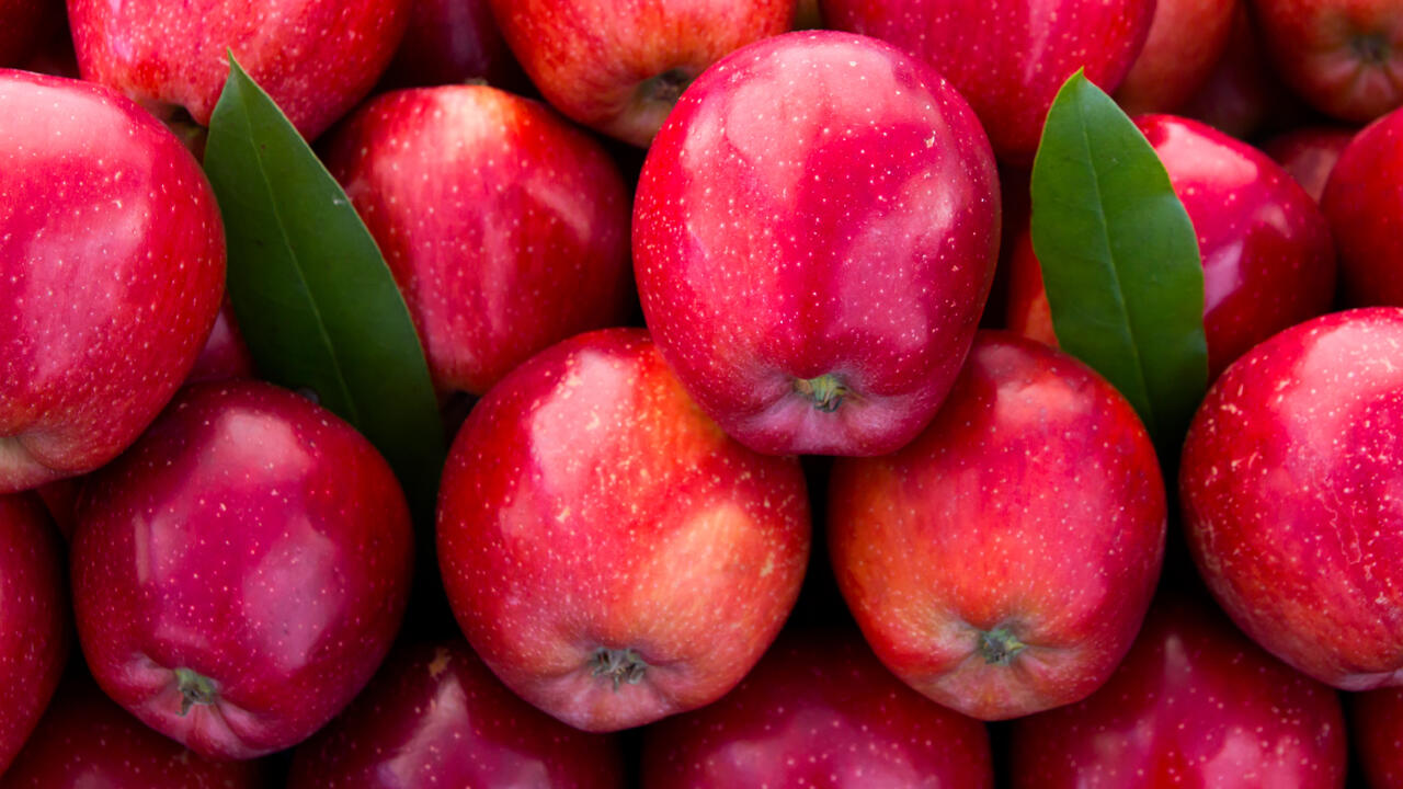 Wer Bio-Obst kauft, ist auf der sicheren Seite. Wer Bio-Obst kauft, ist auf der sicheren Seite.