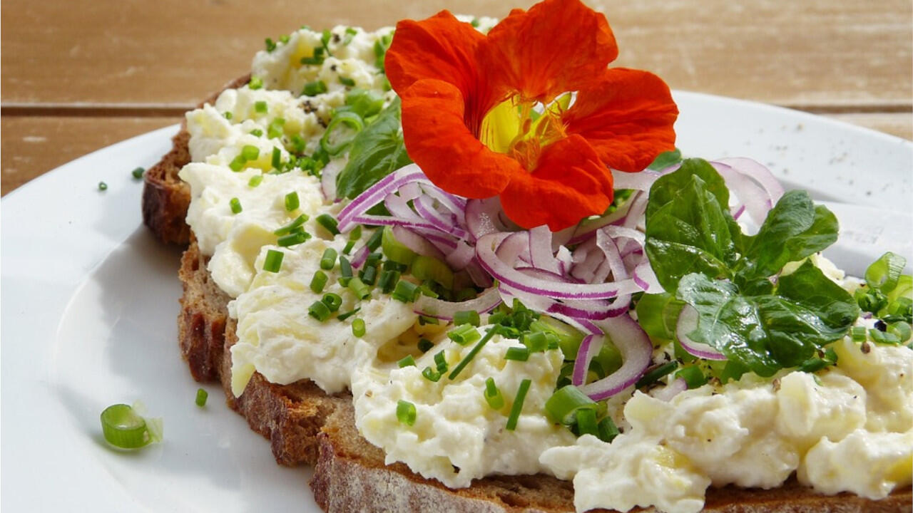 Die Blüten der Kapuzinerkresse schmecken lecker auf dem Brot. Die Blüten der Kapuzinerkresse schmecken lecker auf dem Brot.