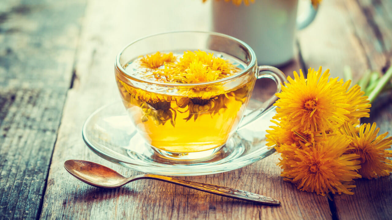 Löwenzahnblüten können Sie essen – oder als Tee trinken. Löwenzahnblüten können Sie essen – oder als Tee trinken.