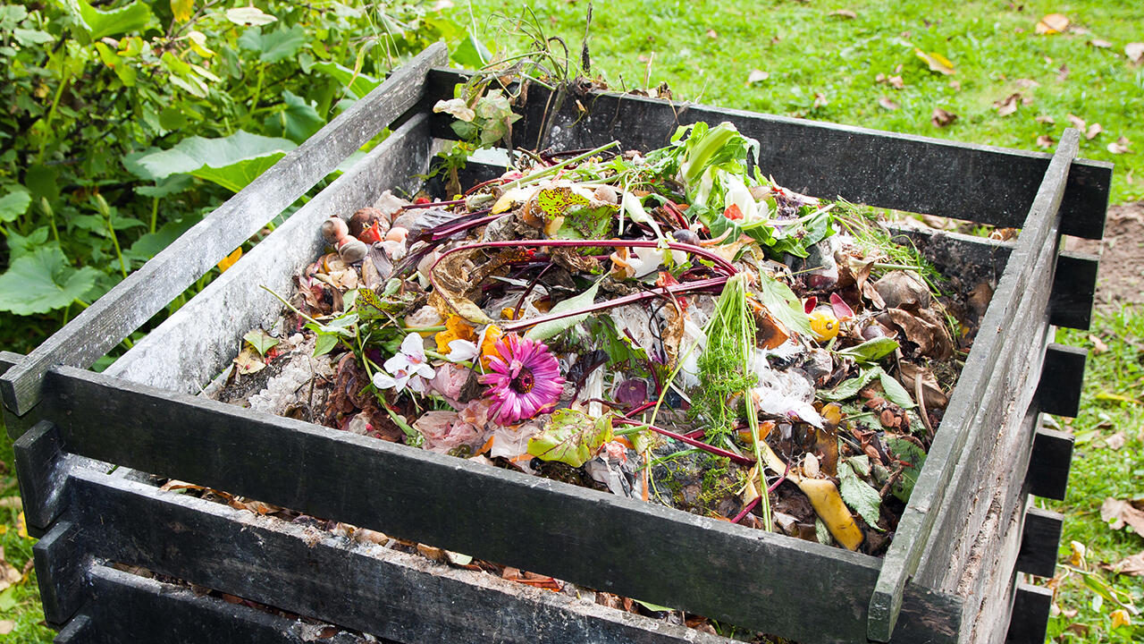 Komposthaufen im Garten: Er sollte nie schlecht riechen oder zu trocken sein.