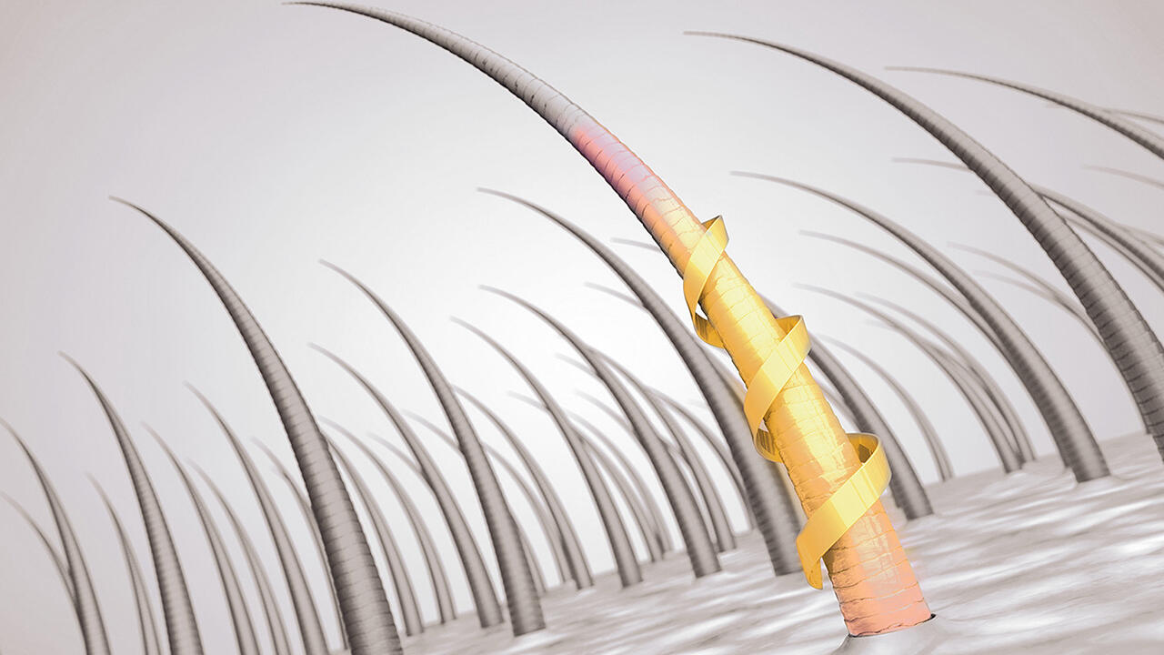 Einige Repair-Shampoos versprechen, mit einem dünnen Pflegefilm dafür zu sorgen, dass die Schuppenschicht des strapazierten Haares wieder glatt anliegt und es dadurch schön glänzt. Einige Repair-Shampoos versprechen, mit einem dünnen Pflegefilm dafür zu sorgen, dass die Schuppenschicht des strapazierten Haares wieder glatt anliegt und es dadurch schön glänzt.