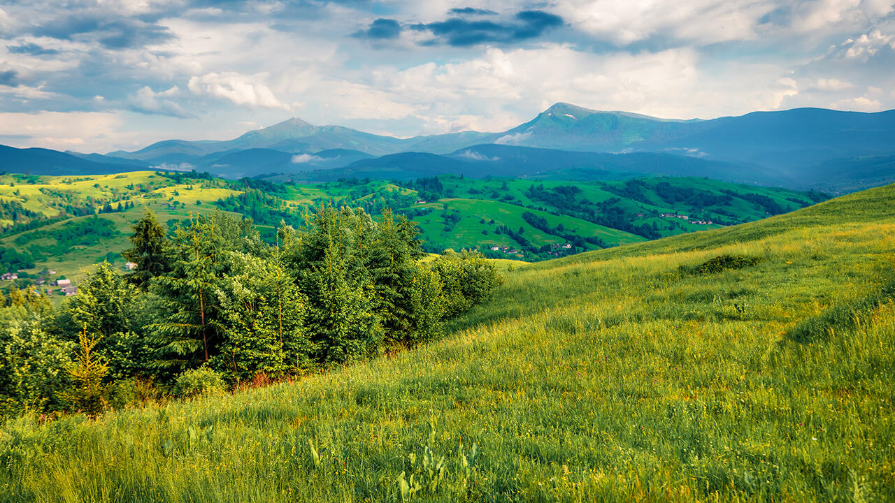 PFAS kommen bereits überall in der Natur vor. Sie reichern sich in Böden und Gewässern an und verbreiten sich über die Atmosphäre und das Wasser. PFAS kommen bereits überall in der Natur vor. Sie reichern sich in Böden und Gewässern an und verbreiten sich über die Atmosphäre und das Wasser.