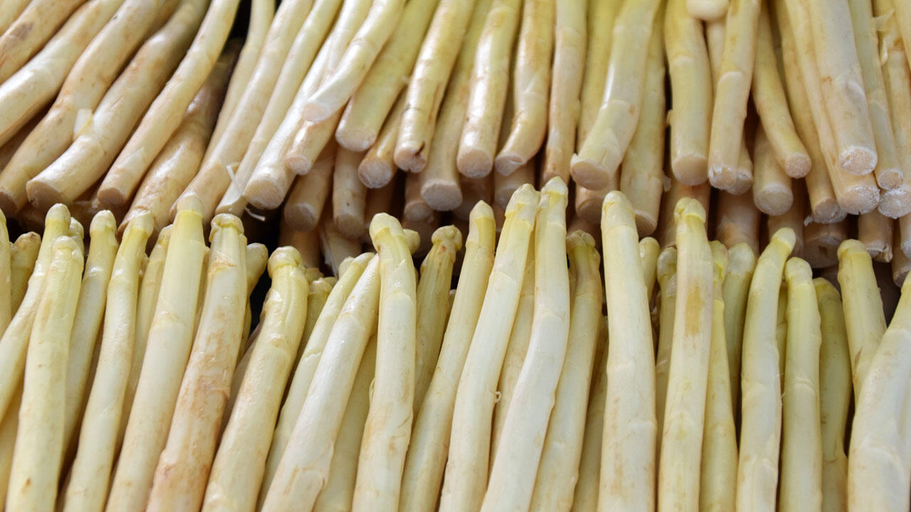 Guter Spargel ist vor allem eines: frisch! Er sollte prall und saftig sein sowie leicht brechen. Guter Spargel ist vor allem eines: frisch! Er sollte prall und saftig sein sowie leicht brechen.