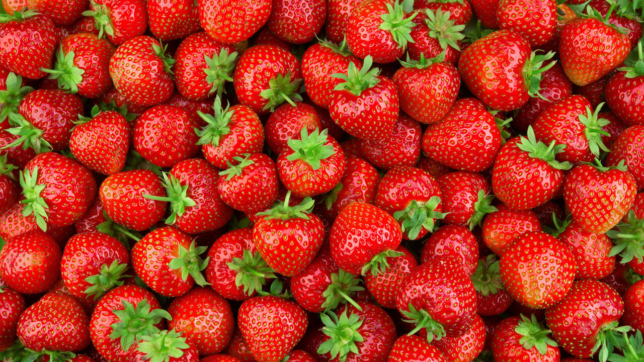 Am einfachsten kann man Erdbeeren in einem Gefrierbeutel einfrieren.