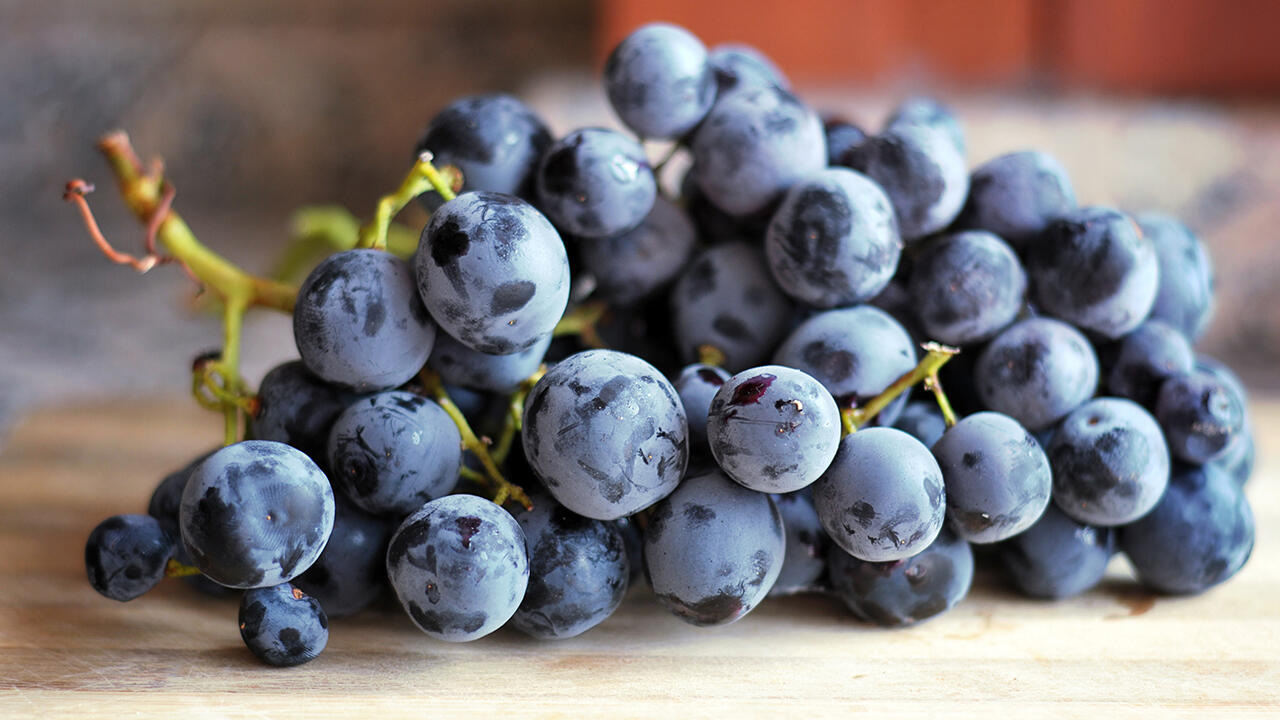 Blaue Weintrauben lassen sich aufgrund ihrer festen Schale besonders gut einfrieren.